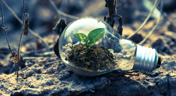 Ecosensibilización y ciudadanía activa: el potencial del aprendizaje basado en proyectos